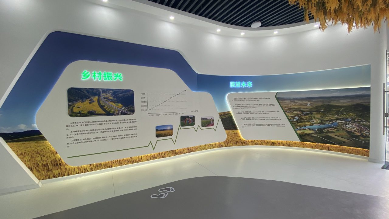 上涌大米 (10)