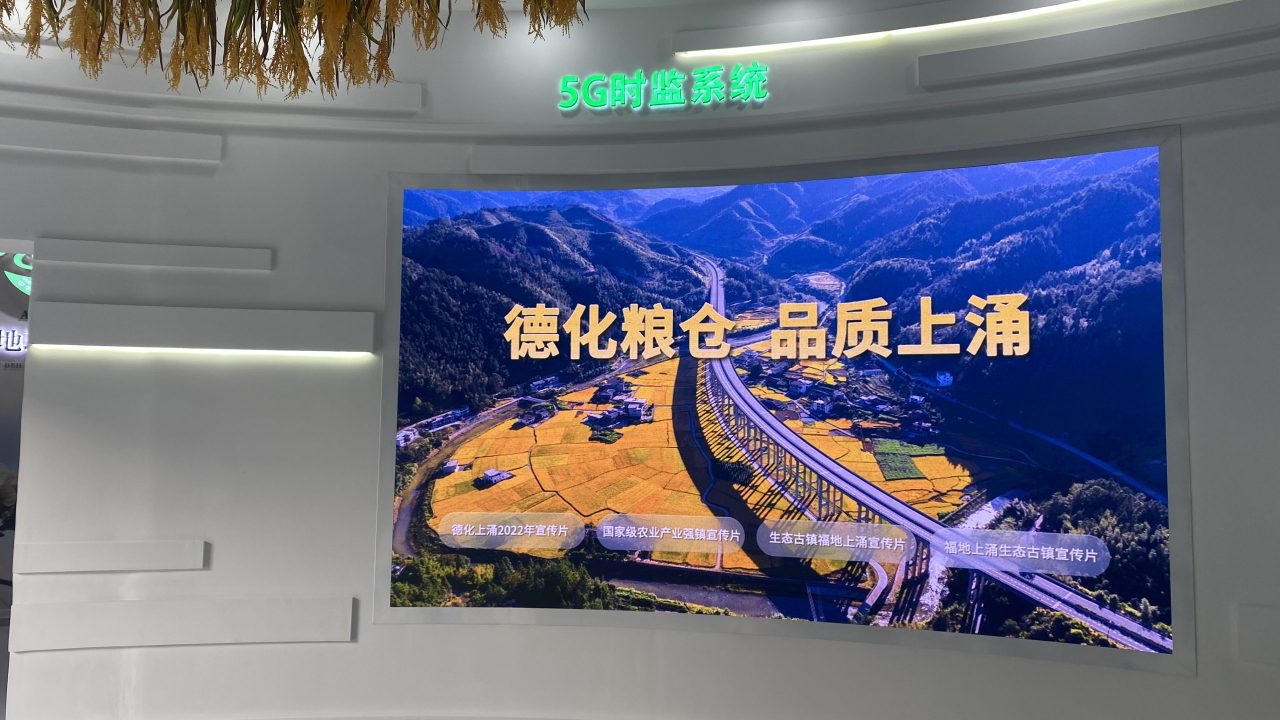 上涌大米 (12)