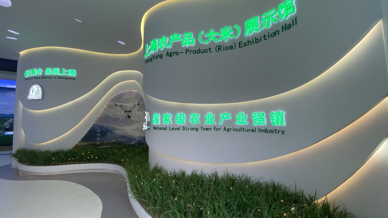 上涌大米 (13)