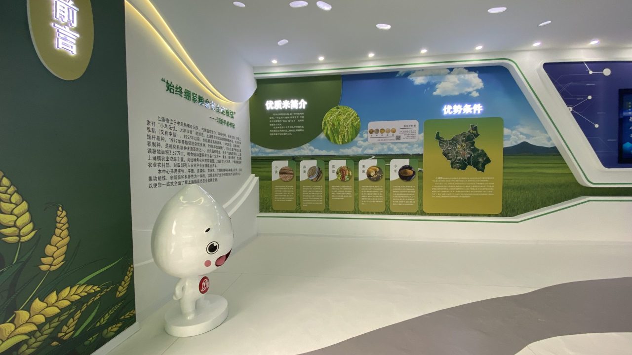 上涌大米 (15)