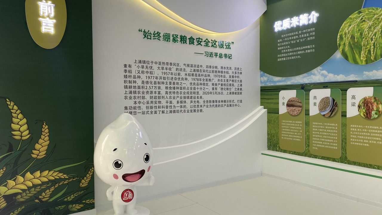 上涌大米 (16)