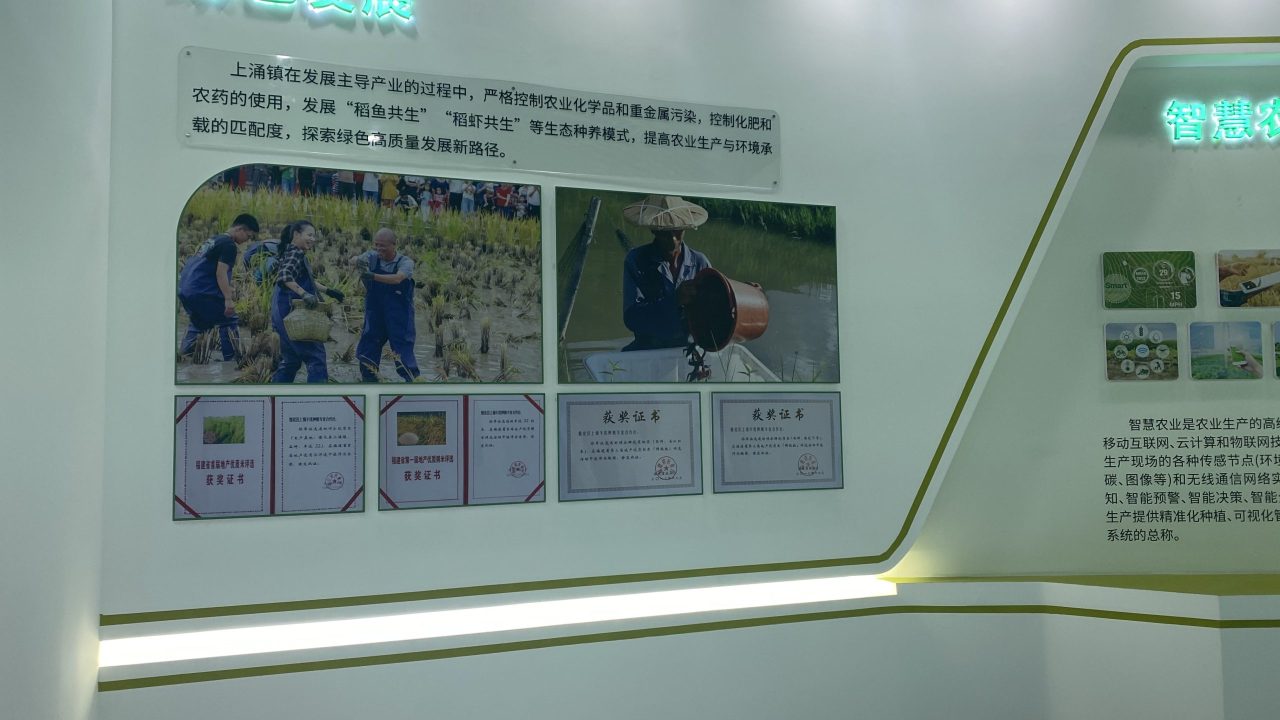 上涌大米 (7)