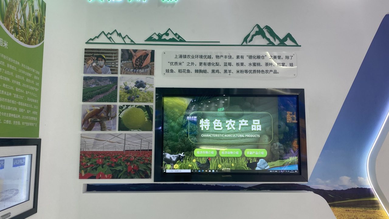 上涌大米 (8)