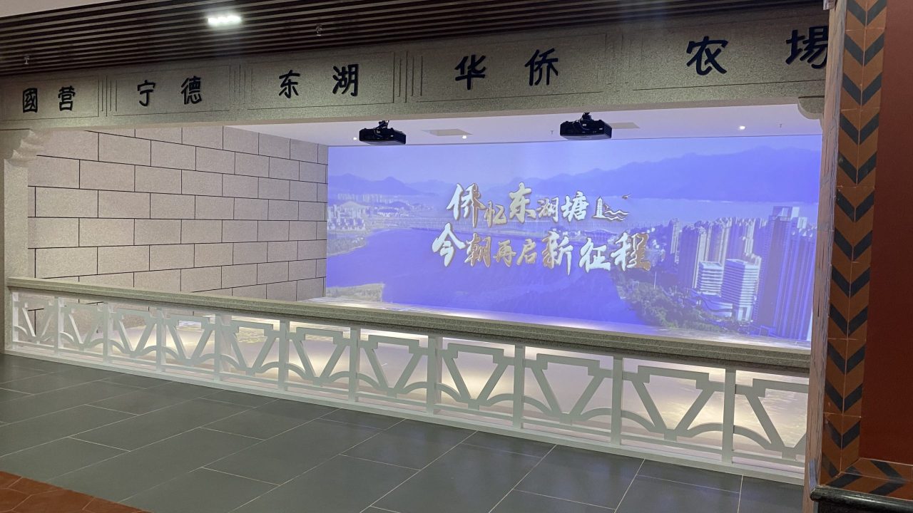 宁德侨胞 (11)