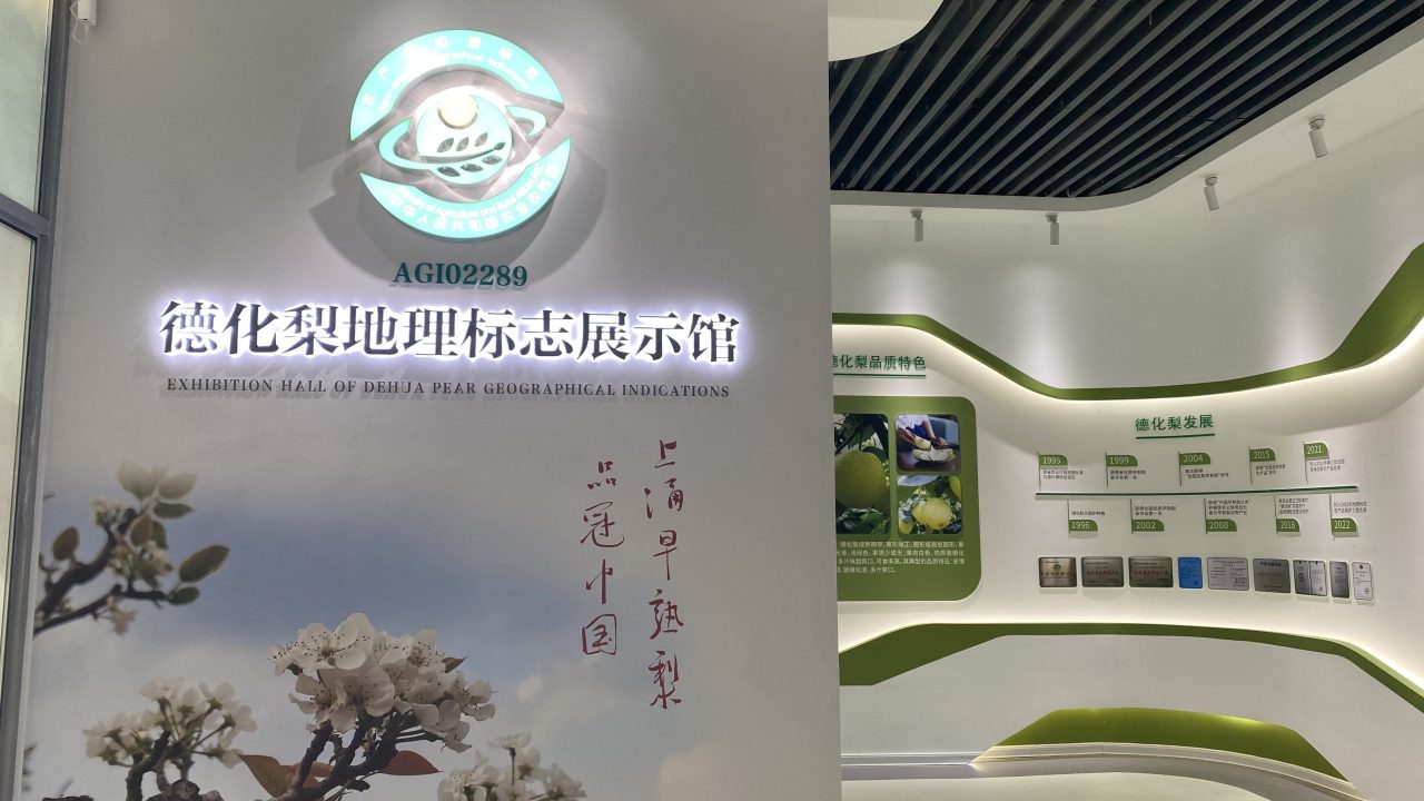德化梨 (1)