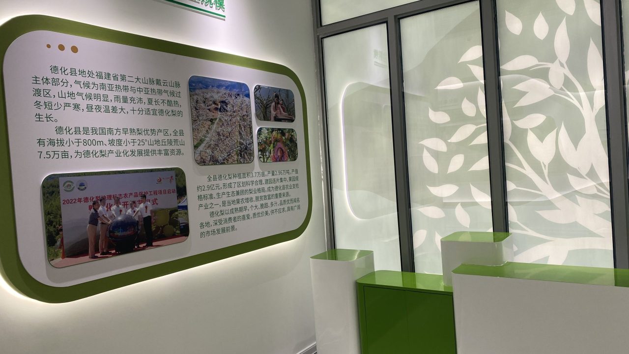 德化梨 (10)