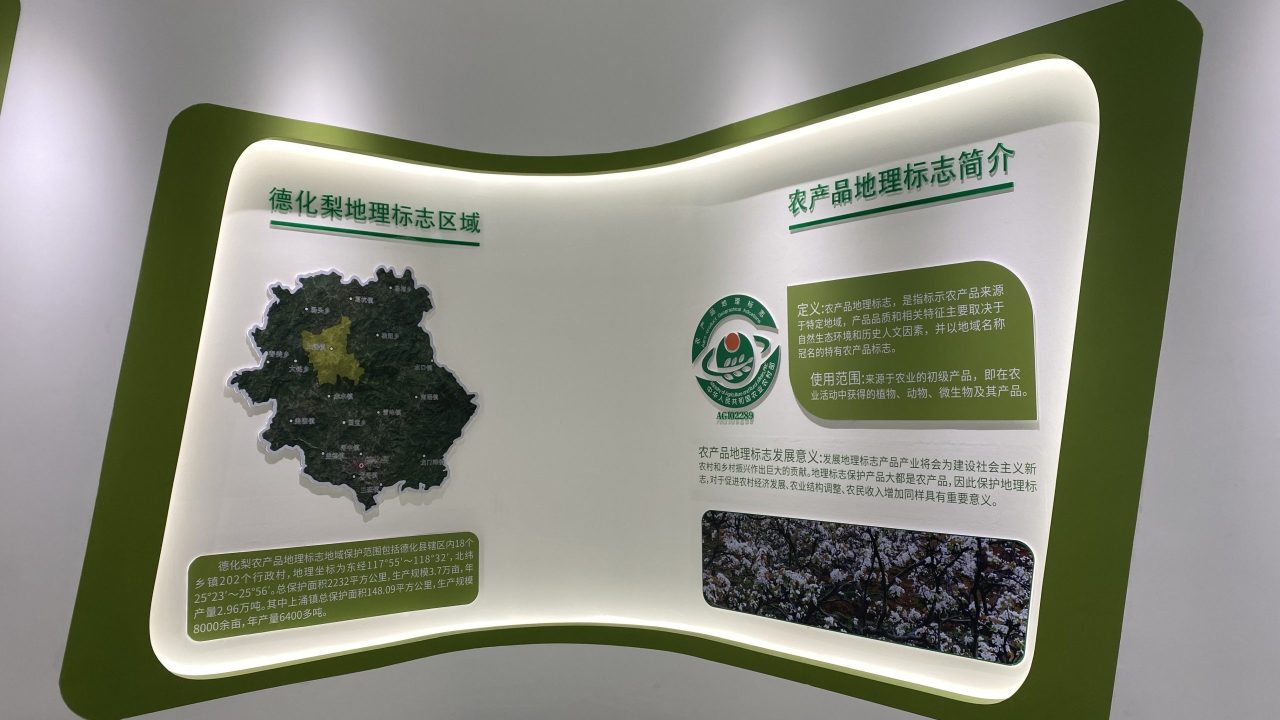 德化梨 (2)