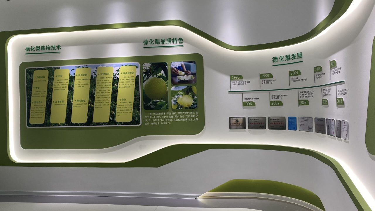 德化梨 (6)