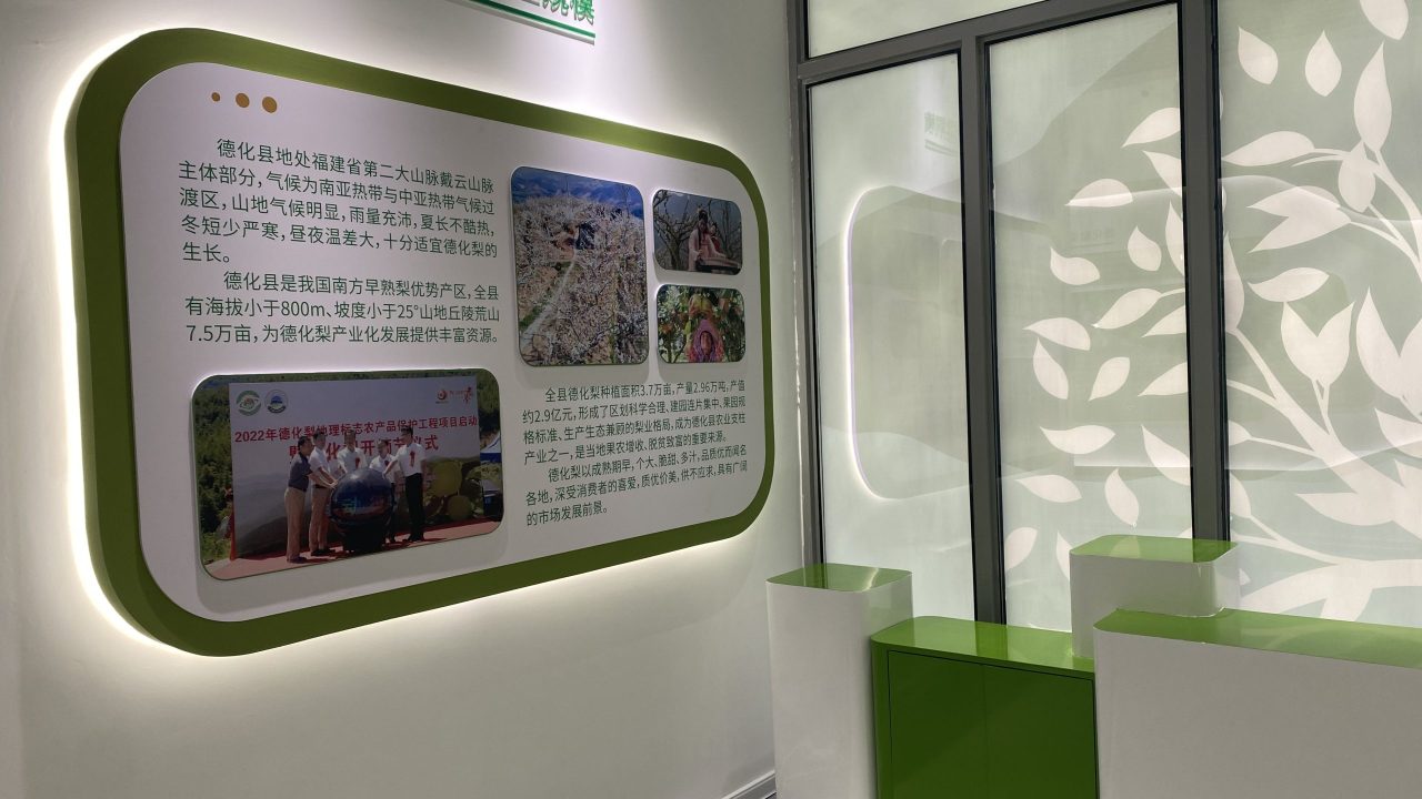 德化梨 (9)