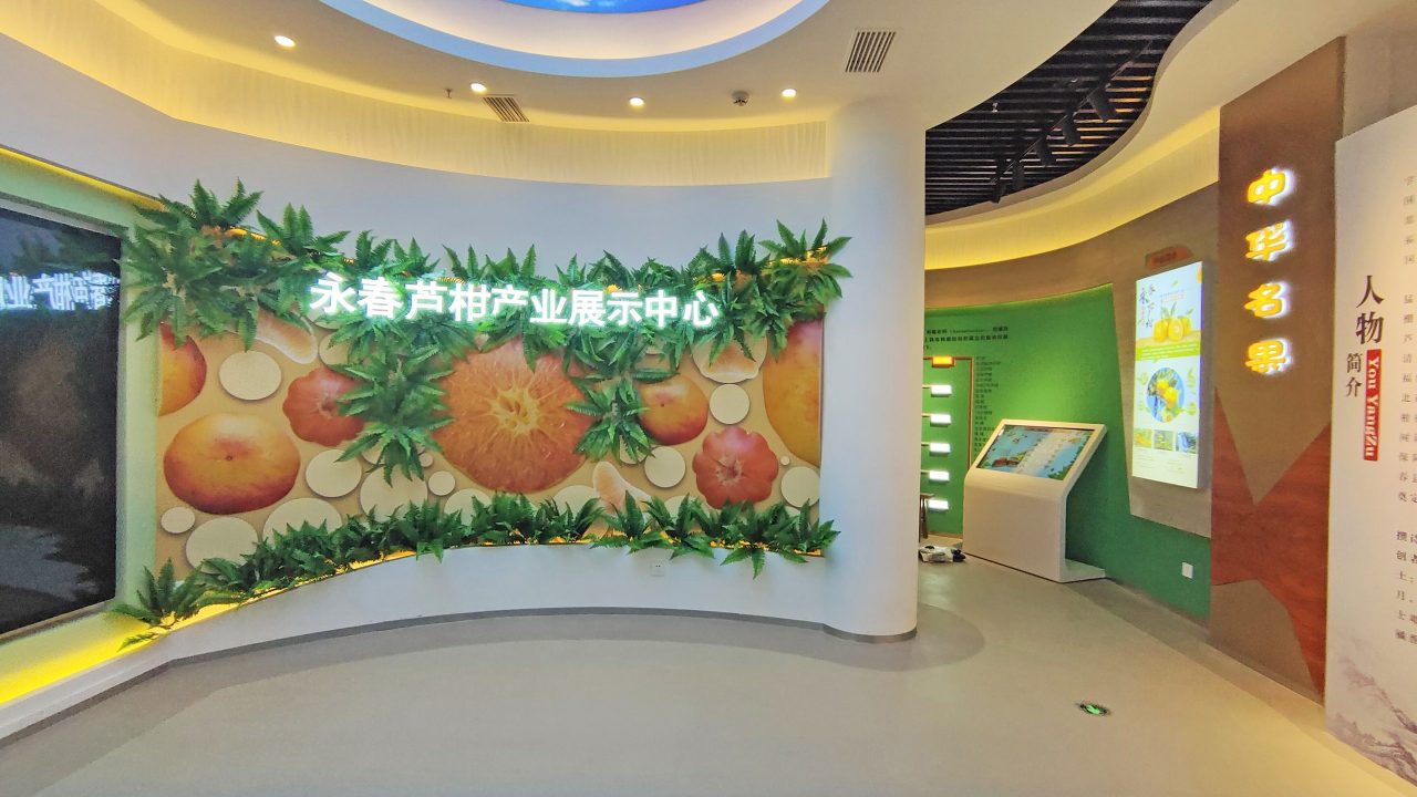 芦柑 (7)